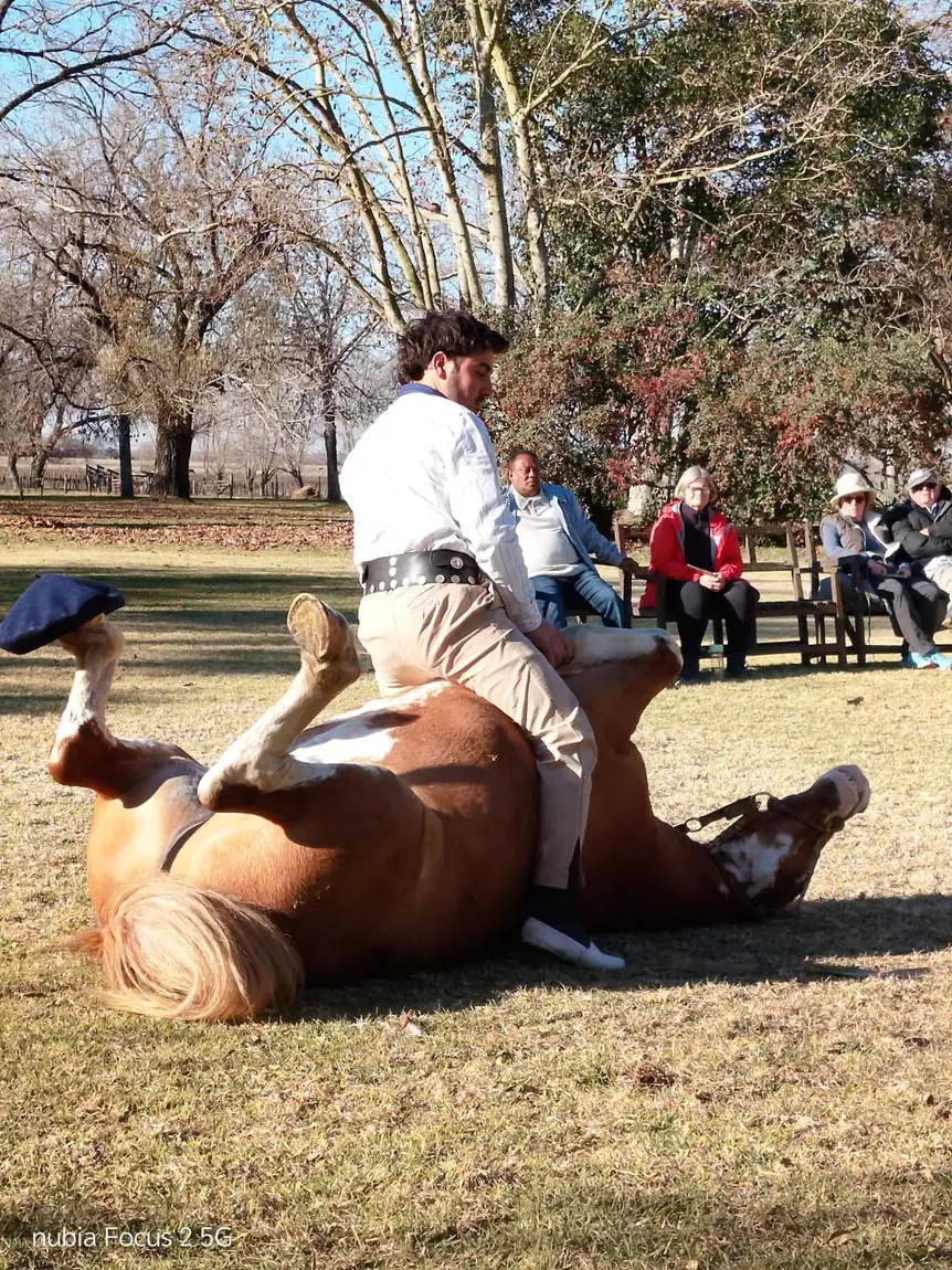 A gaucho showing traditional horsemanship at the estancia